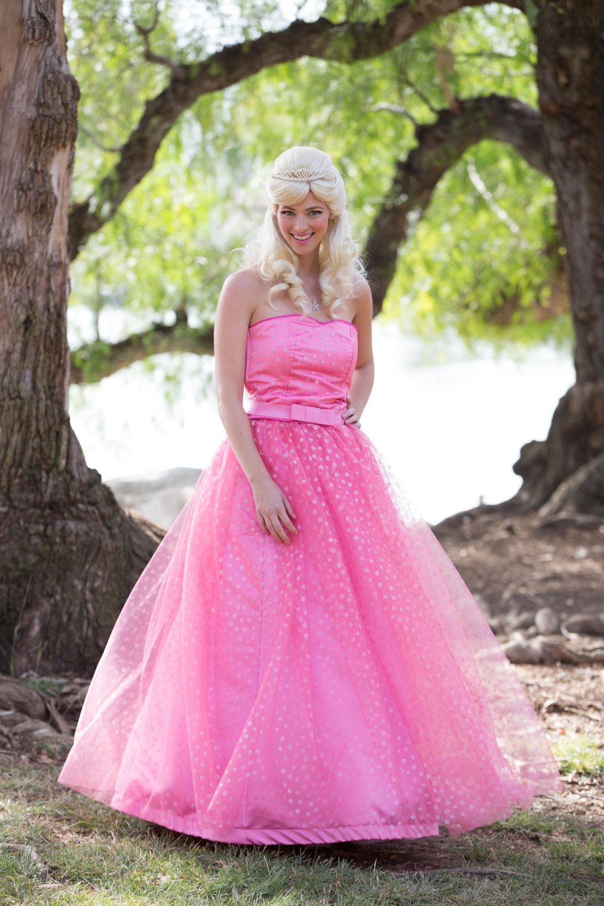 Princess Popstar Barbie entertainment